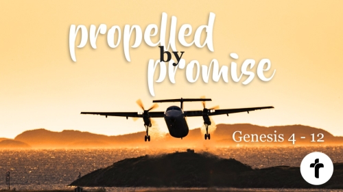 Genesis 4-12 Propelled by Promise (Review)